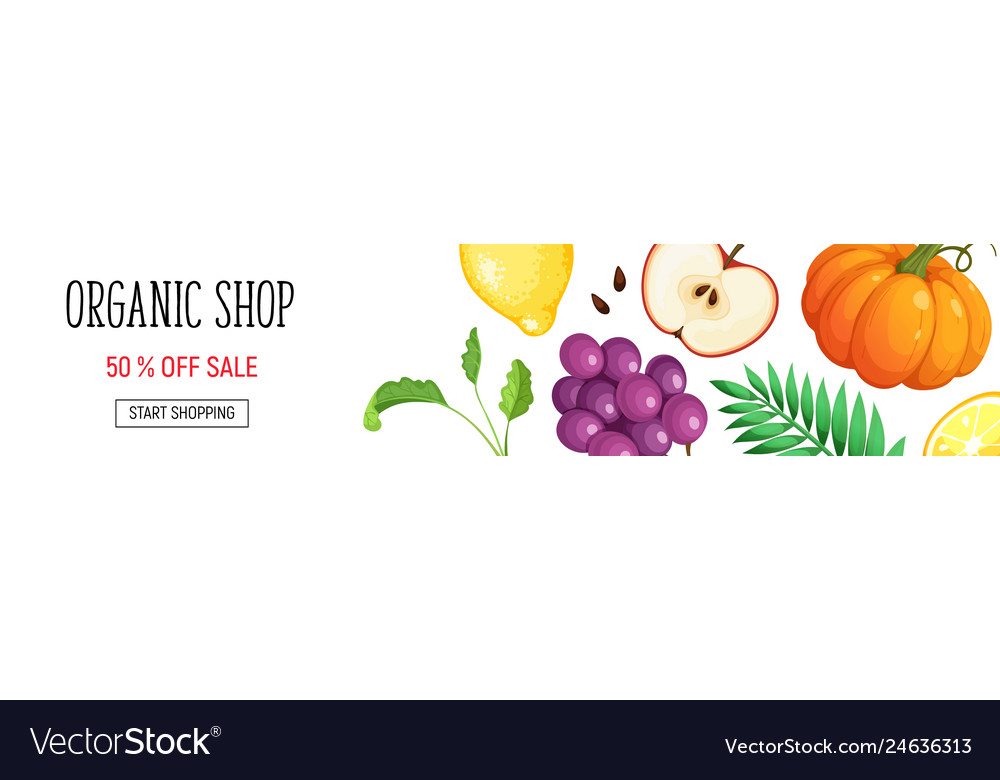 Organic shop poster vector image Organic shop poster
