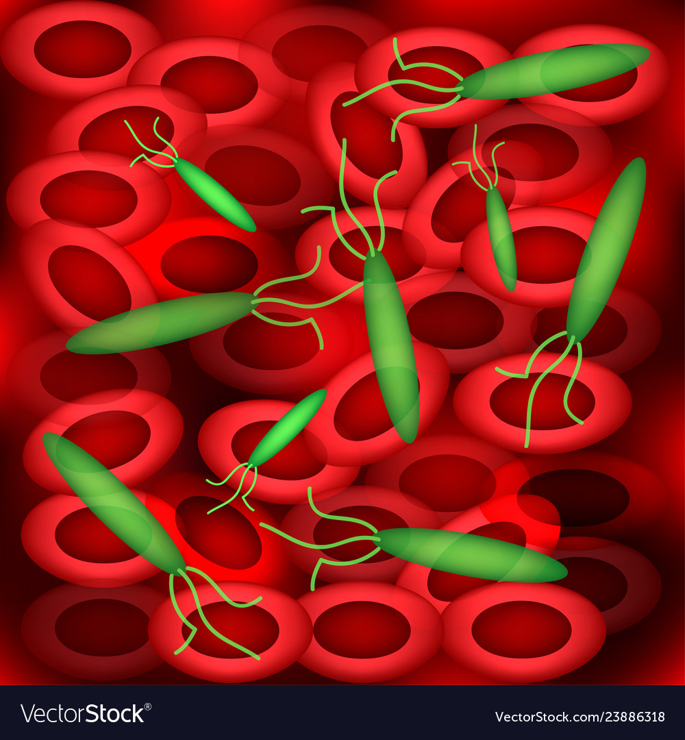 Background of erythrocytes sepsis blood