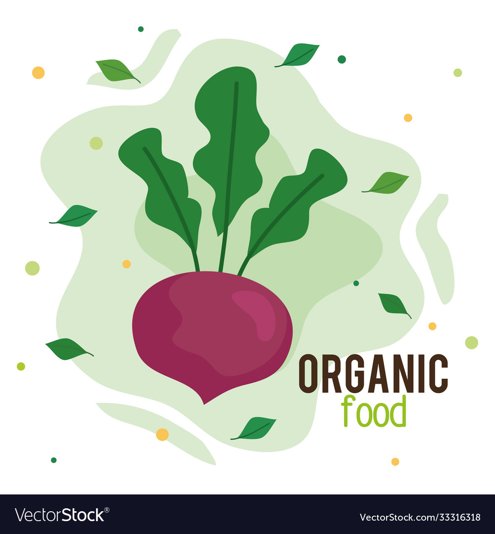 Banner organic food fresh and healthy radish