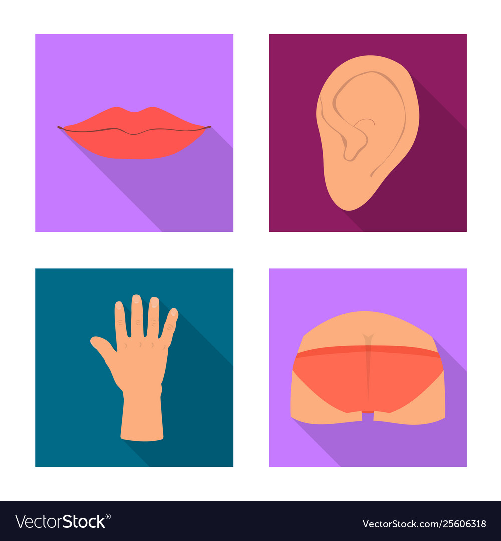 Isolated object body and part symbol vector image Isolated object body and part symbol