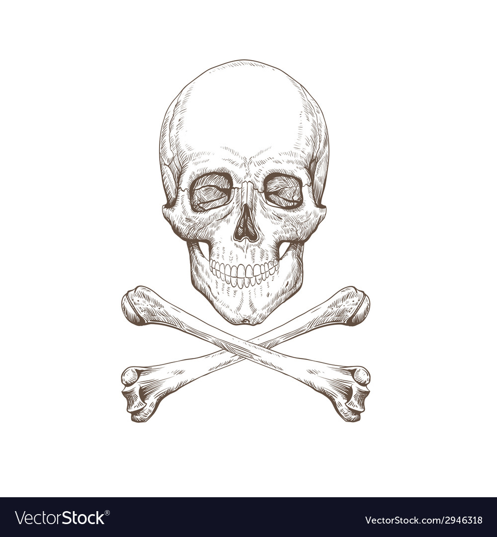 Download Death'S Head, Bones, Crossbones. Royalty-Free Vector Graphic -  Pixabay