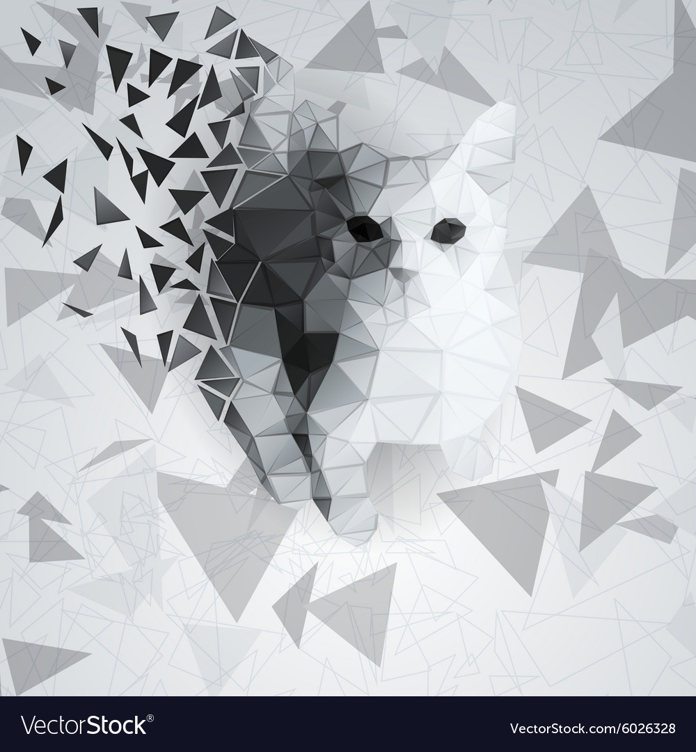 Cat of the polygons on chaotic background
