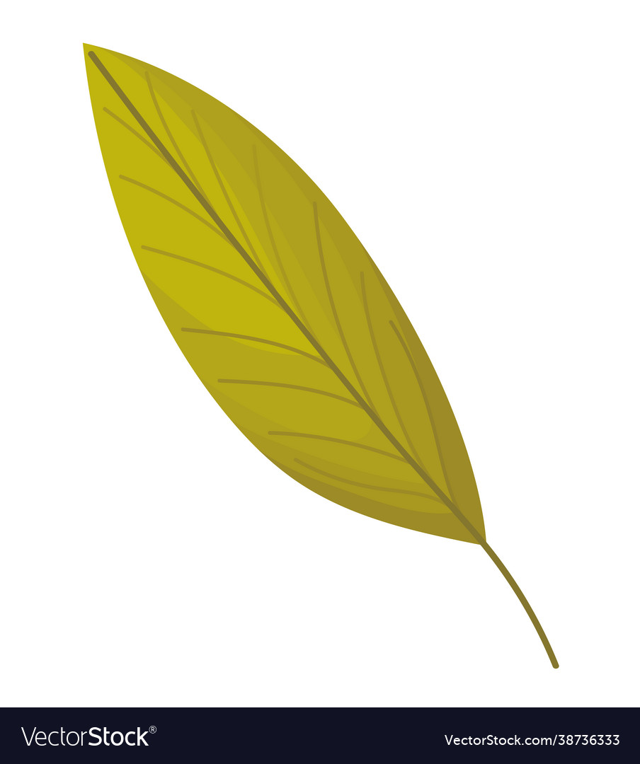 Autumn jagged leaf Royalty Free Vector Image - VectorStock