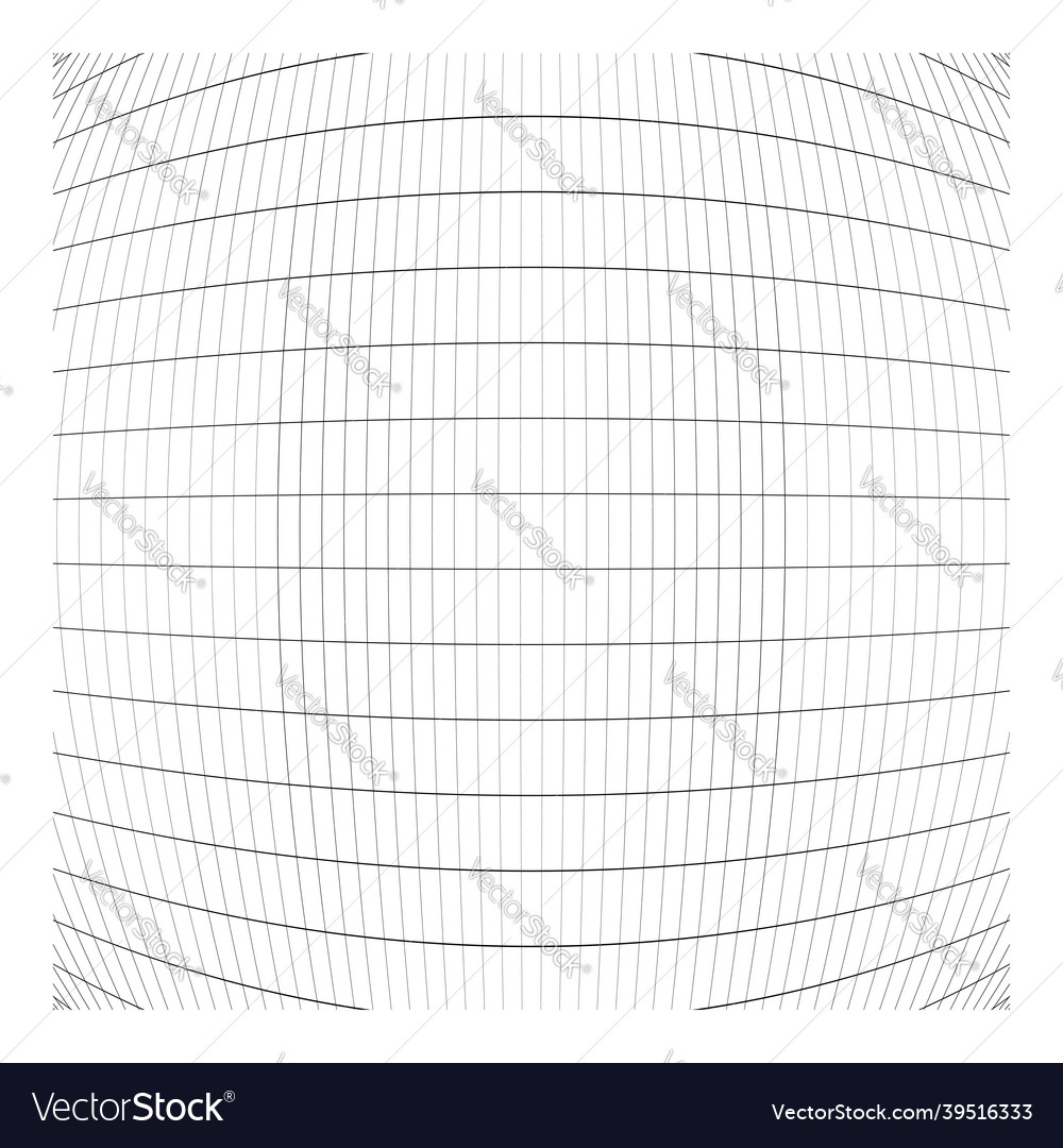 Grid mesh grating trellis wireframe vector image Grid mesh grating trellis wireframe