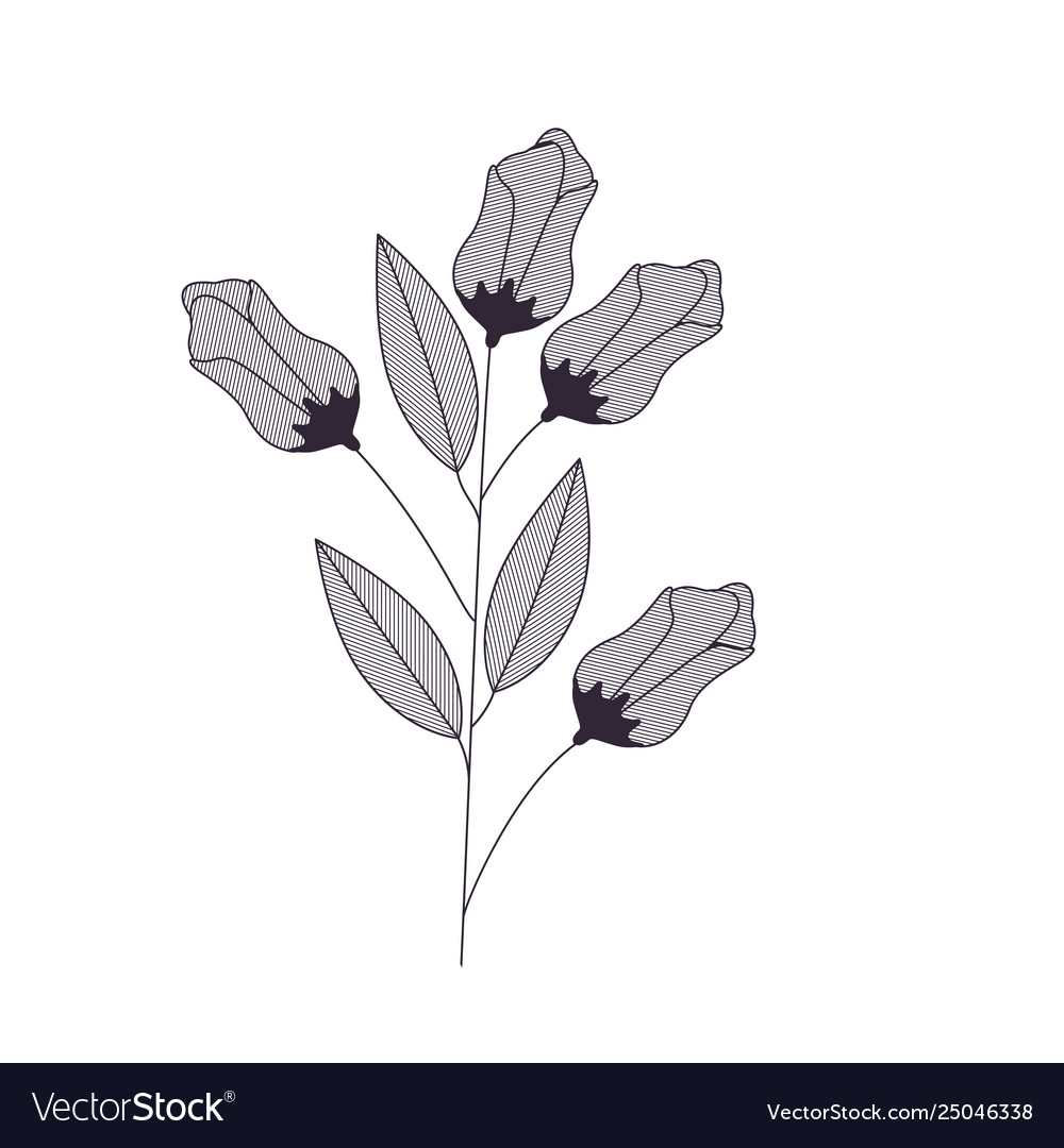 Flowers and leaves isolated icon