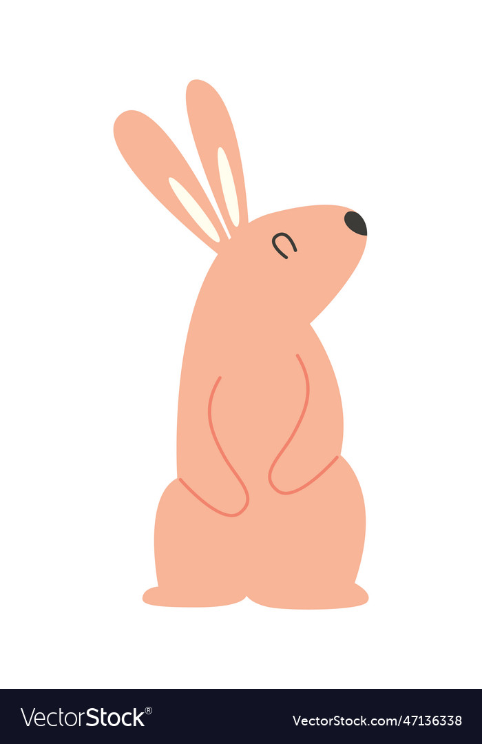 Sitting rabbit animal