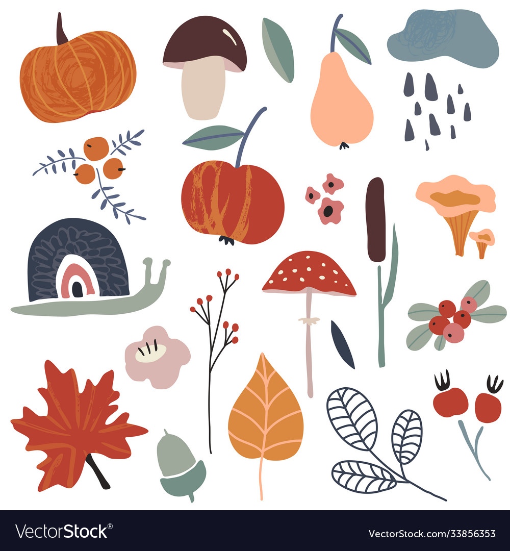 Autums collection fall leaves berries Royalty Free Vector