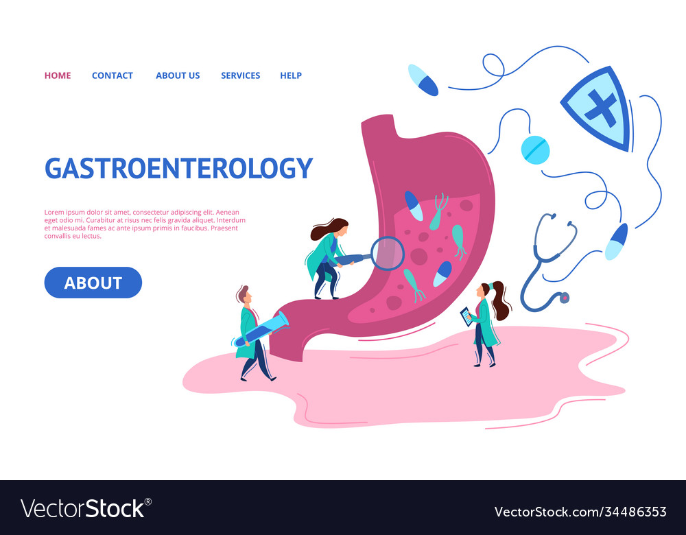 Gastroenterologie Konzept Karte Landing Web Seite vector image Gastroenterologie Konzept Karte Landing Web Seite
