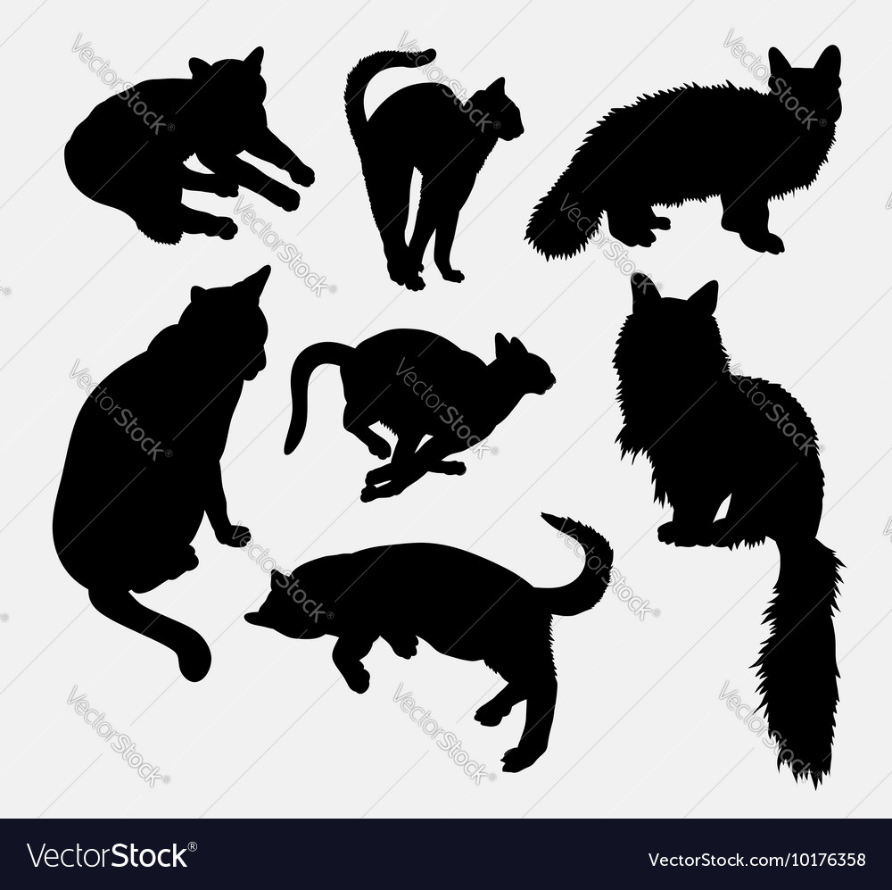 Cat pet animal activity silhouette