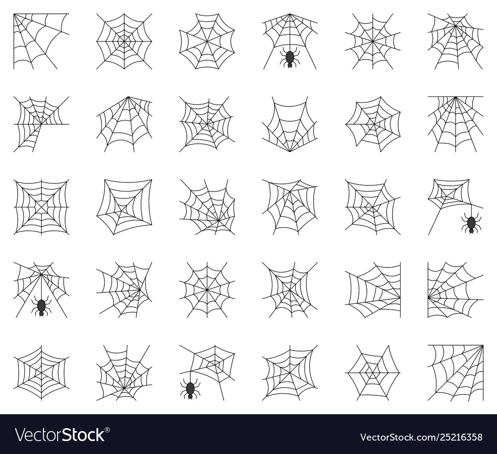 Spiderweb set different type cobweb