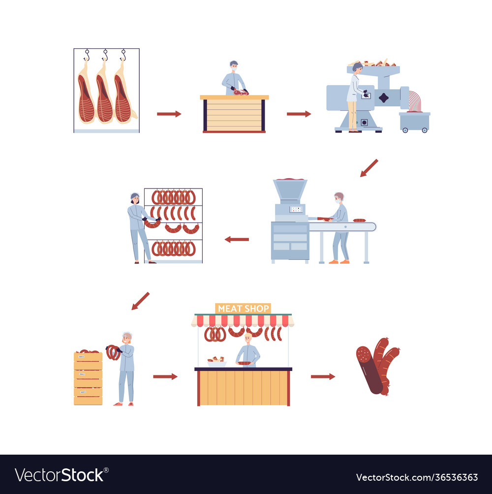 Stages meat processing infographics Royalty Free Vector
