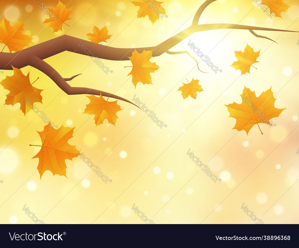 Autumn Background With Branch And Maple Leaves Vector Image