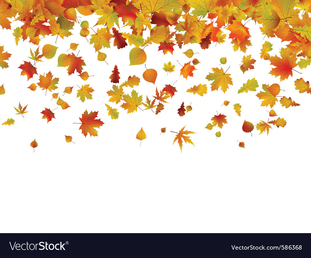 Autumn leaves background Royalty Free Vector Image