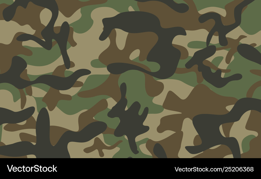 Camouflage pattern background Royalty Free Vector Image