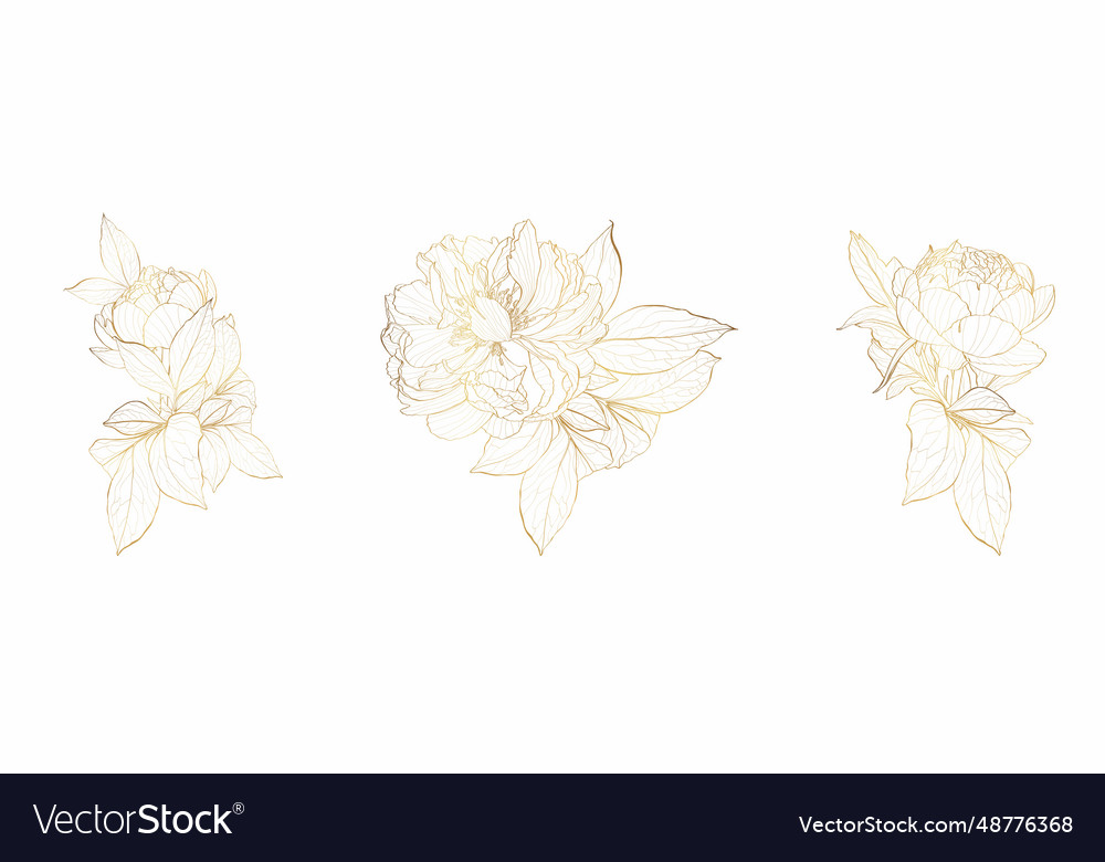 Decorative golden peony flowers design elements