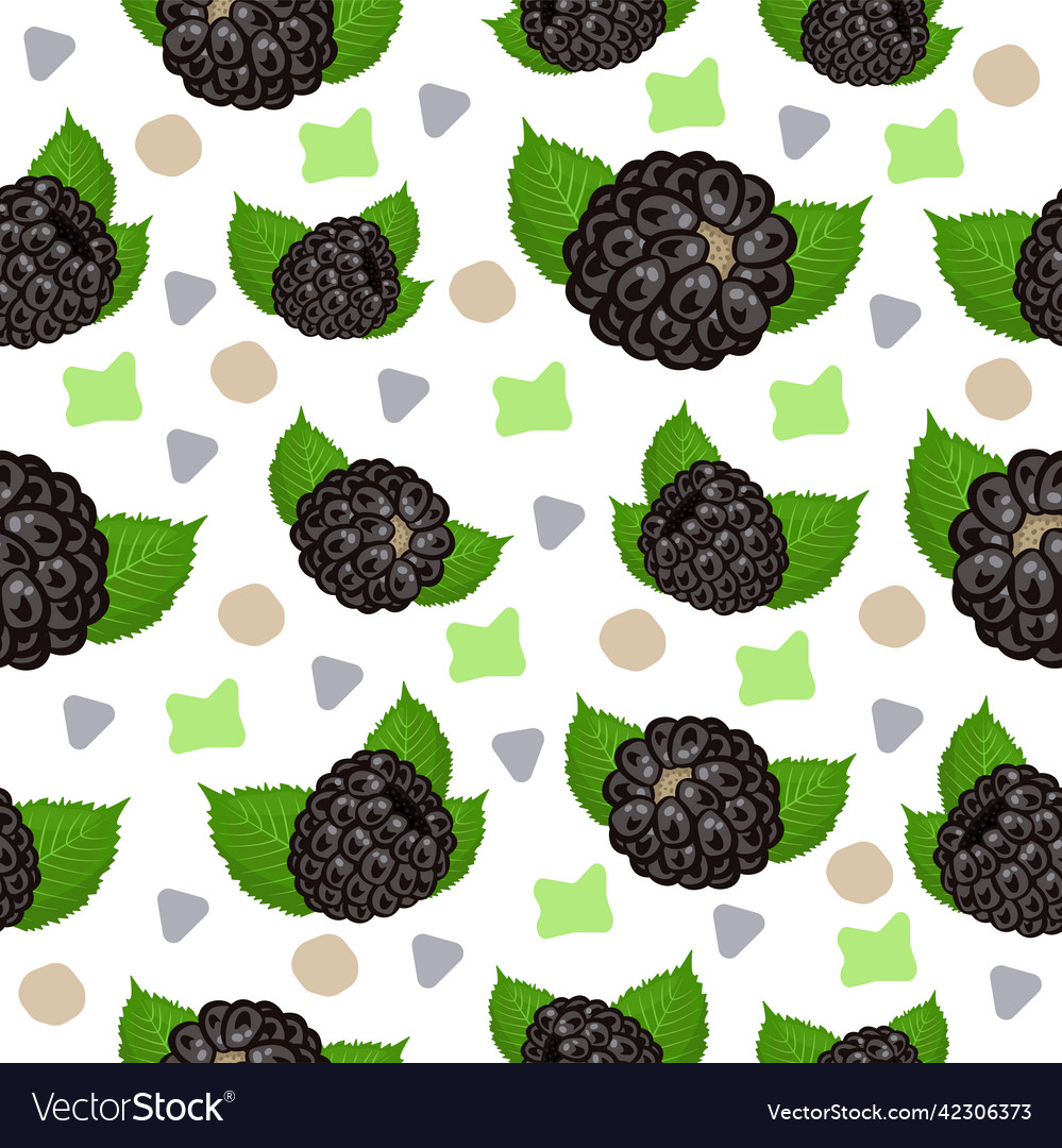 Blackberry pattern with colorful abstract spots