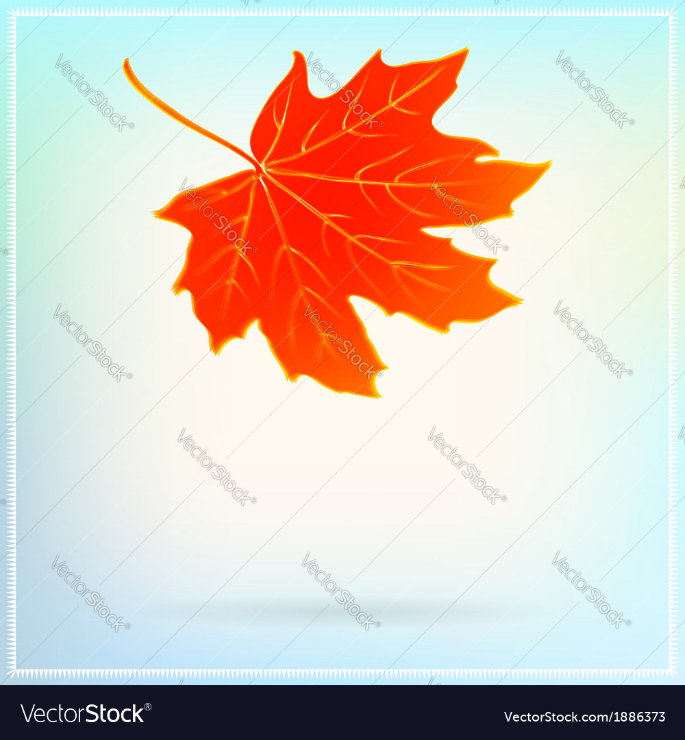 Falling Maple Leaves Drawing