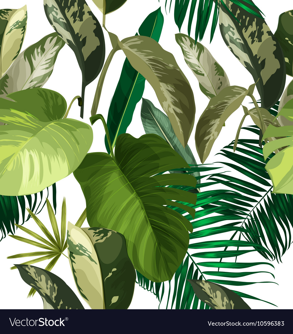 Tropical Palm Leaf Pattern