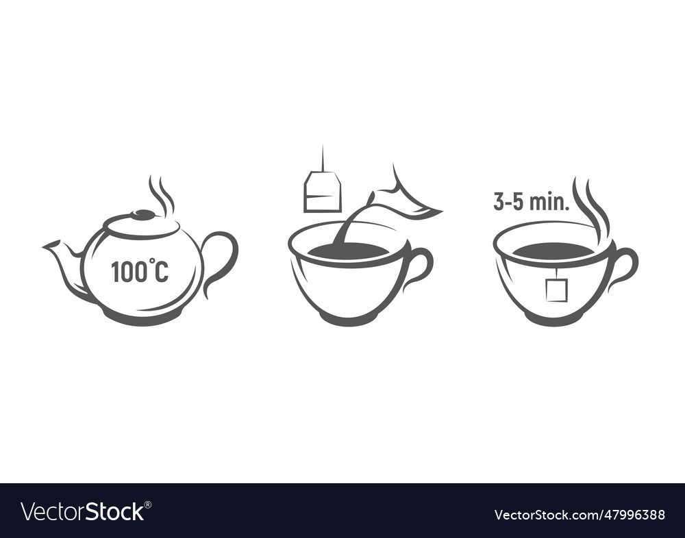 Tea preparation instruction Royalty Free Vector Image