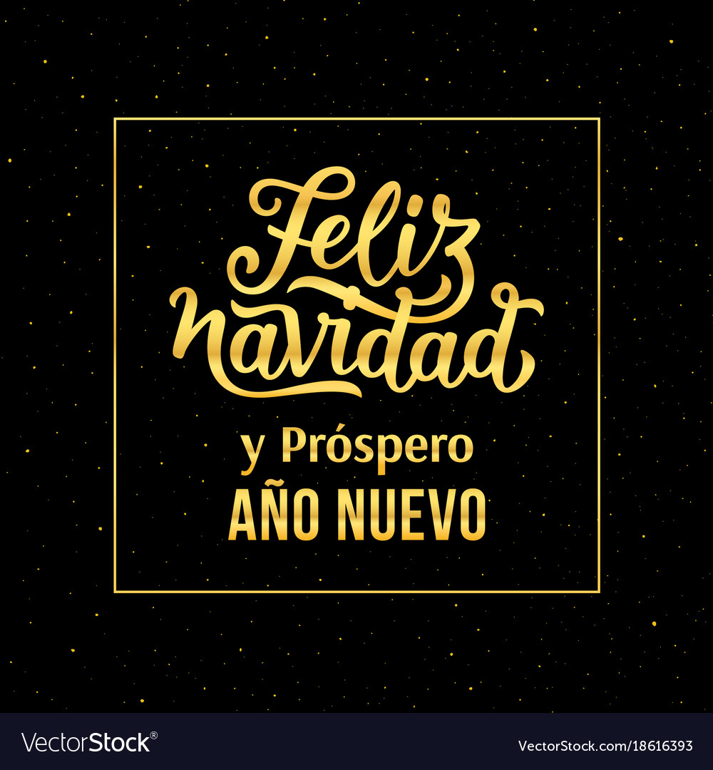 Merry Christmas And Happy New Year In Spanish Vector Image