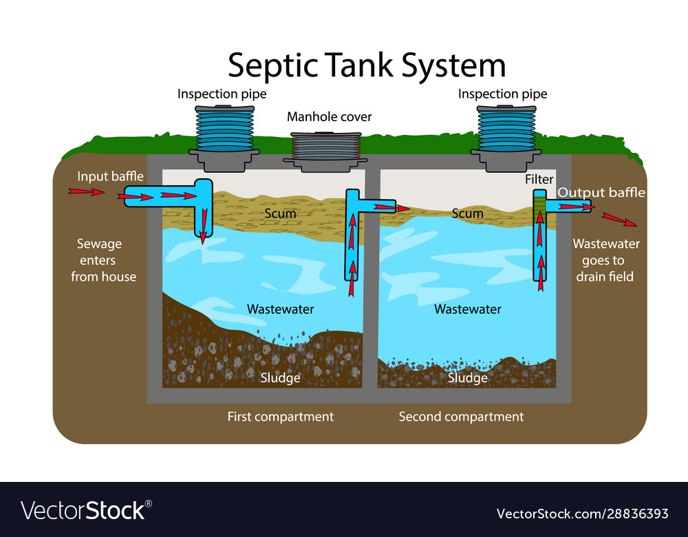 Septic tank diagram system Royalty Free Vector Image