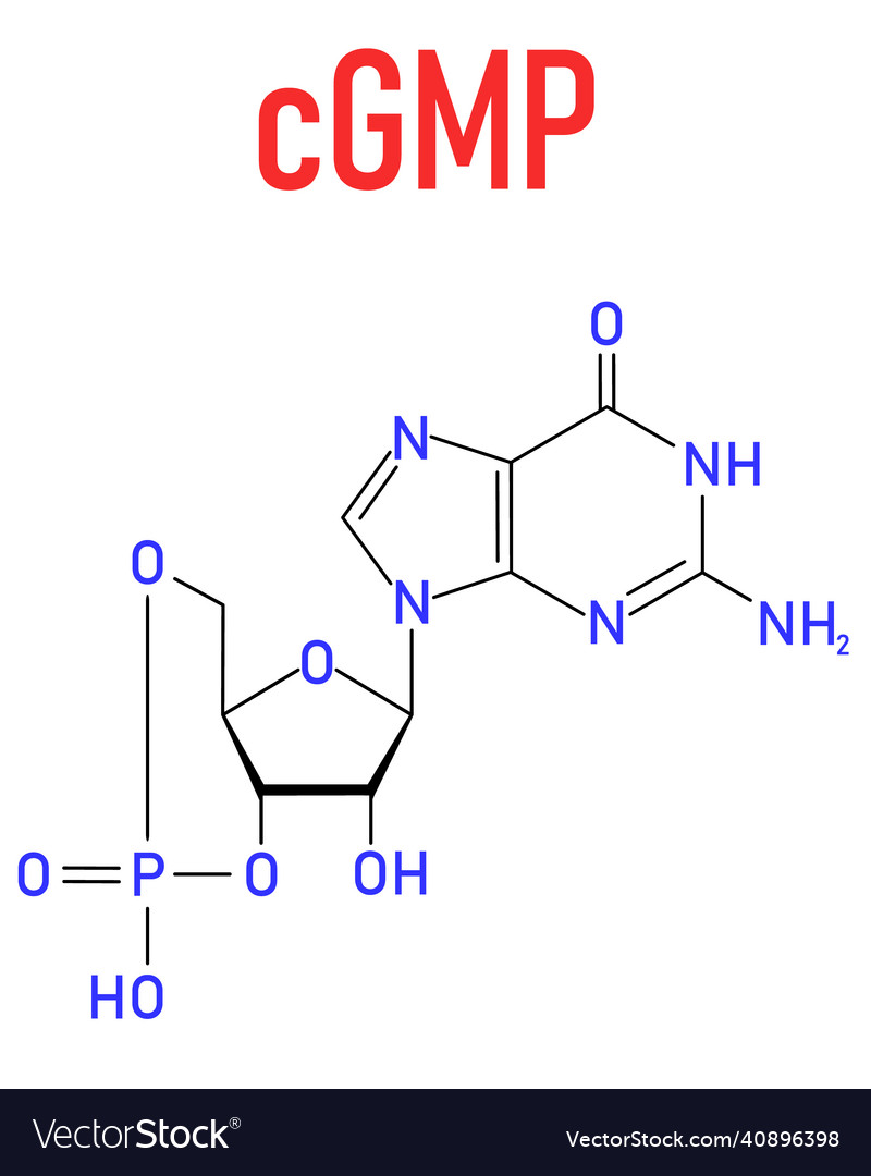 Cyclic guanosine monophosphate or cgmp molecule Vector Image