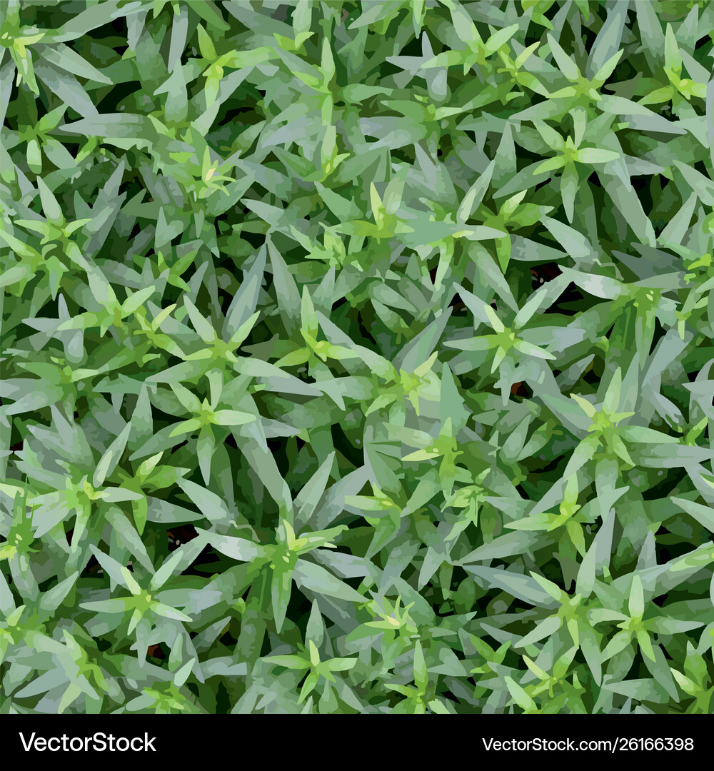 Green plants seamless pattern Royalty Free Vector Image