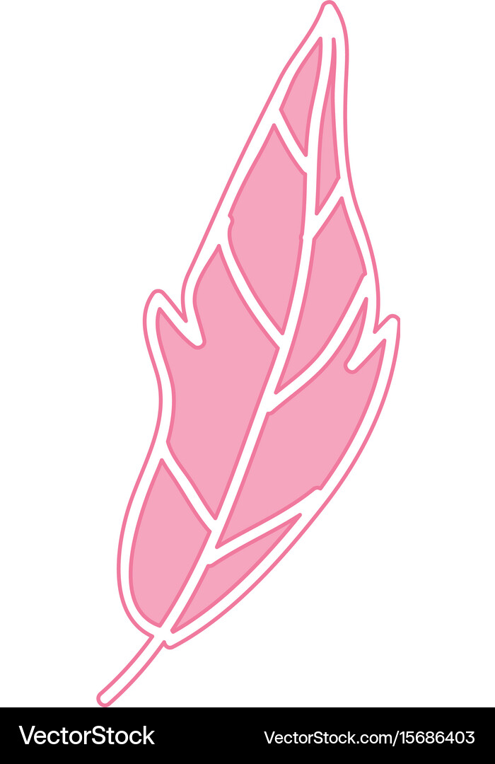 Boho style decorative feather Royalty Free Vector Image
