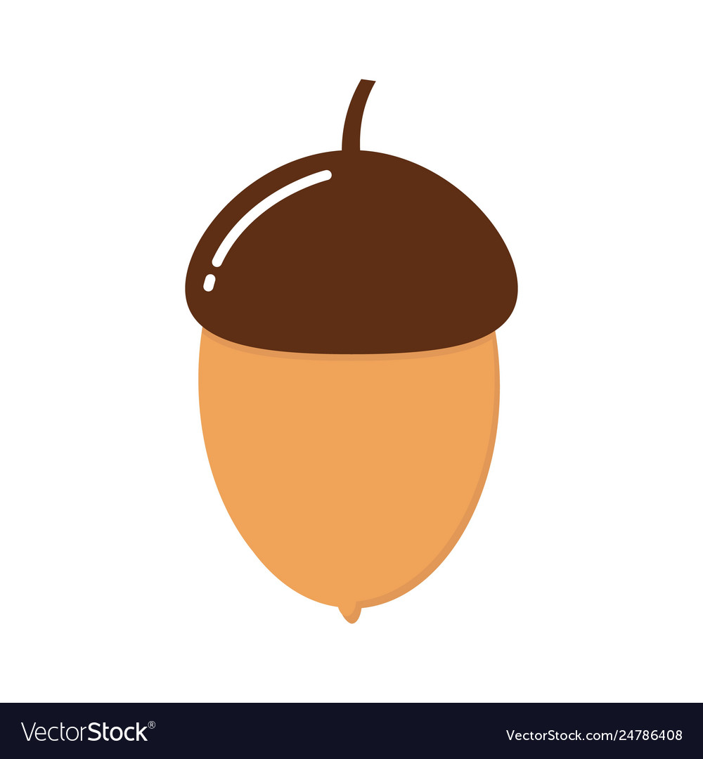 Acorn flat icon nut and food graphics Royalty Free Vector