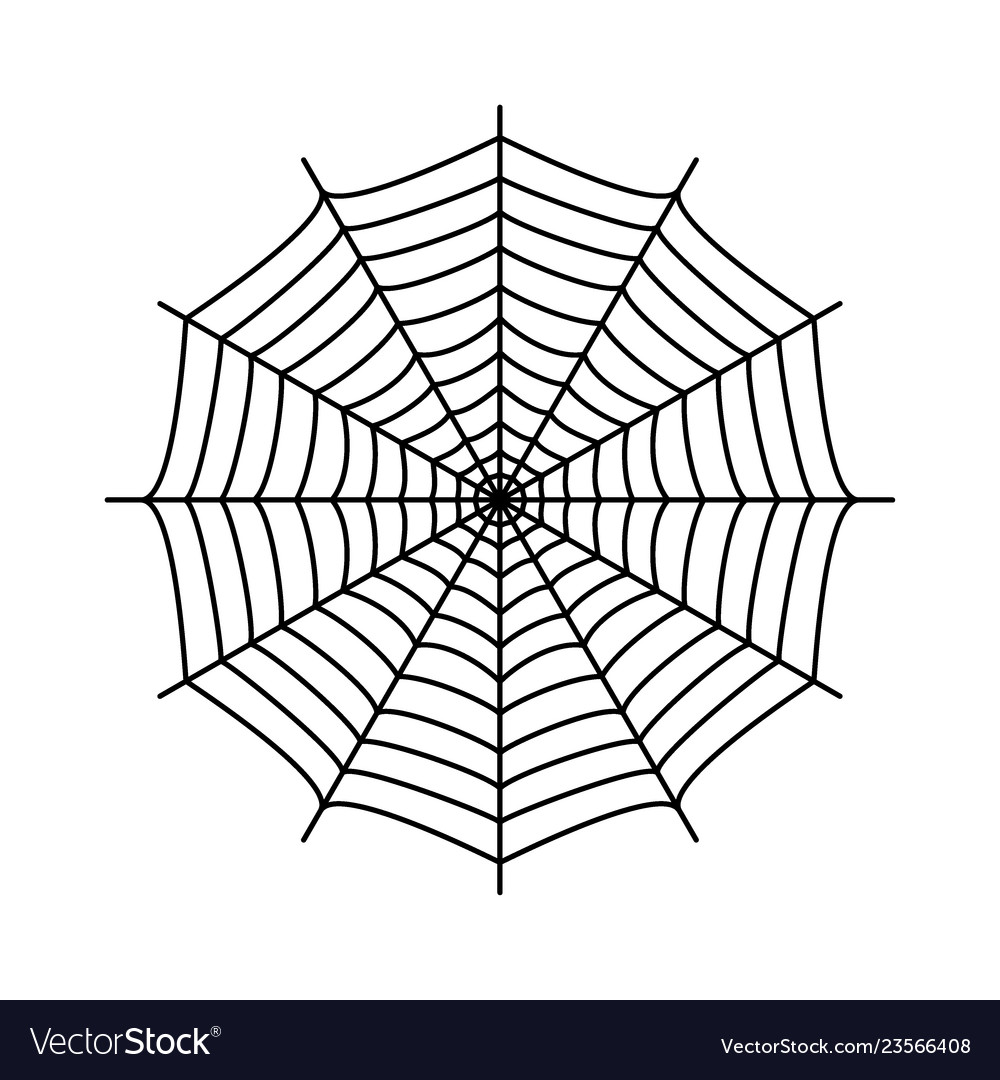 Cobweb spiders web Vector Image Cobweb spiders web