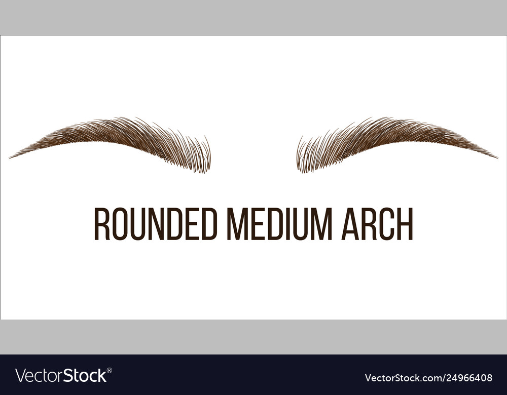 Elegant Rounded Brow Shape