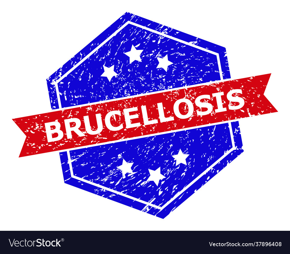 Hexagonal bicolor brucellosis stamp seal vector image Hexagonal bicolor brucellosis stamp seal