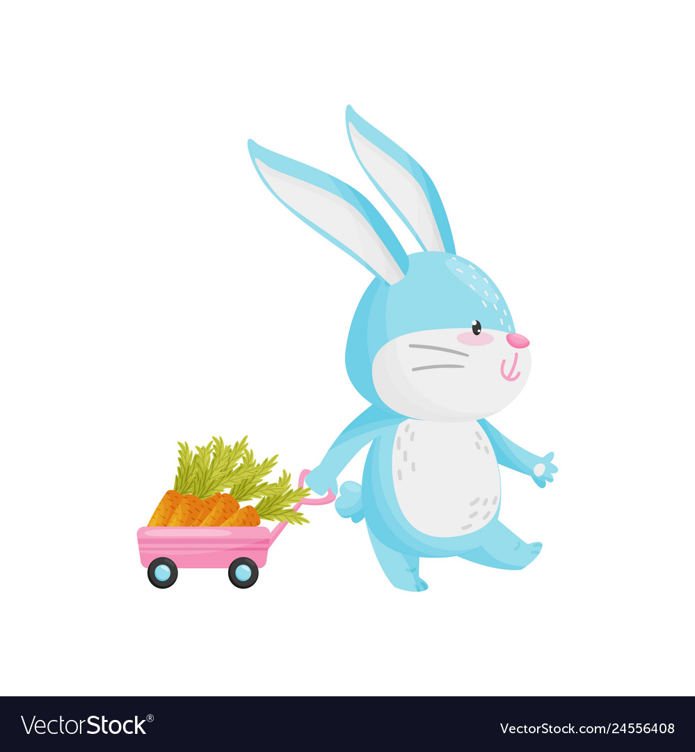 Rabbit with carrot car on white background