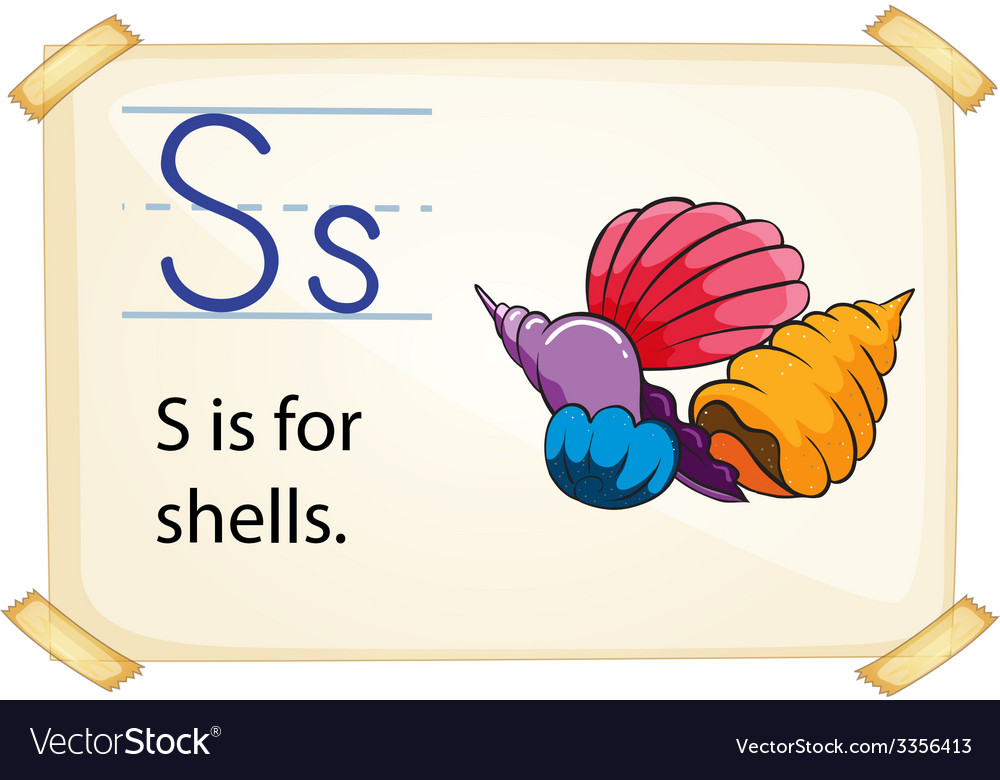 A letter s for shells Royalty Free Vector Image