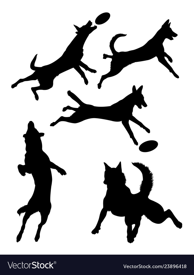 Belgian Malinois Vector Images 30
