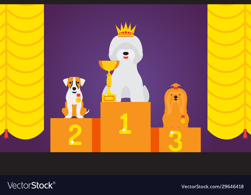 Dog show award cute pet winner animal grooming Vector Image