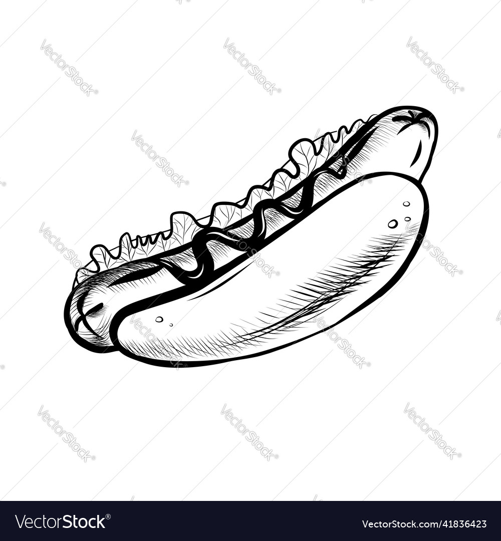 Hot dog Royalty Free Vector Image - VectorStock