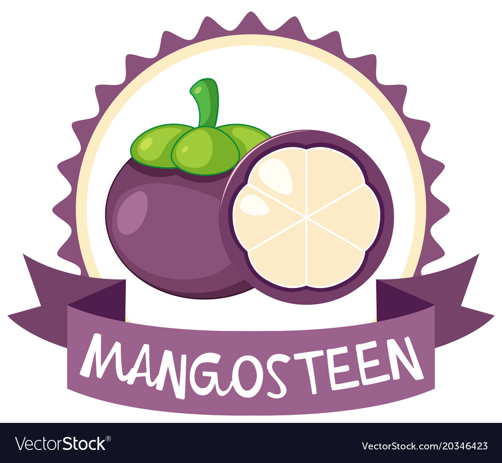 Logo design with mangosteen