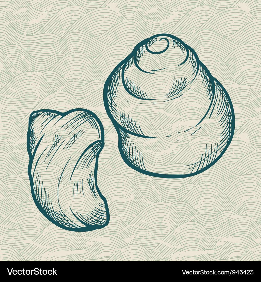 Sea shells background Royalty Free Vector Image