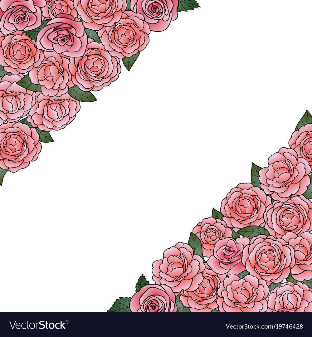 Camellia angular composition