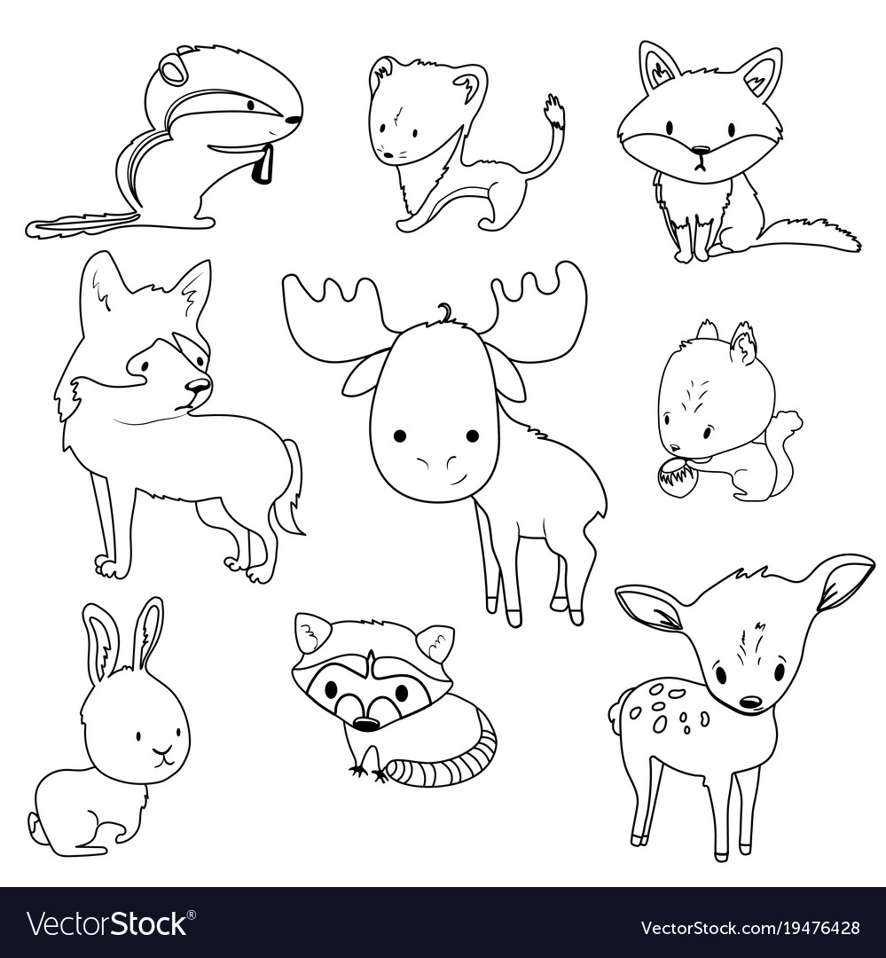 Forest animals outlines set