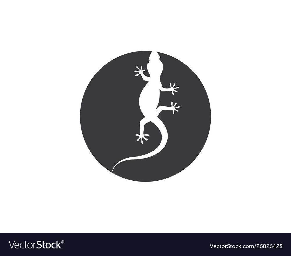 Logo von Lizard