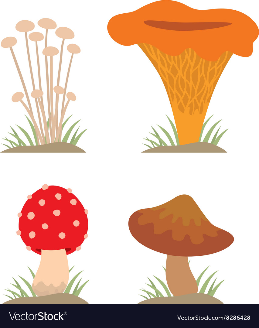 Mushrooms set different types
