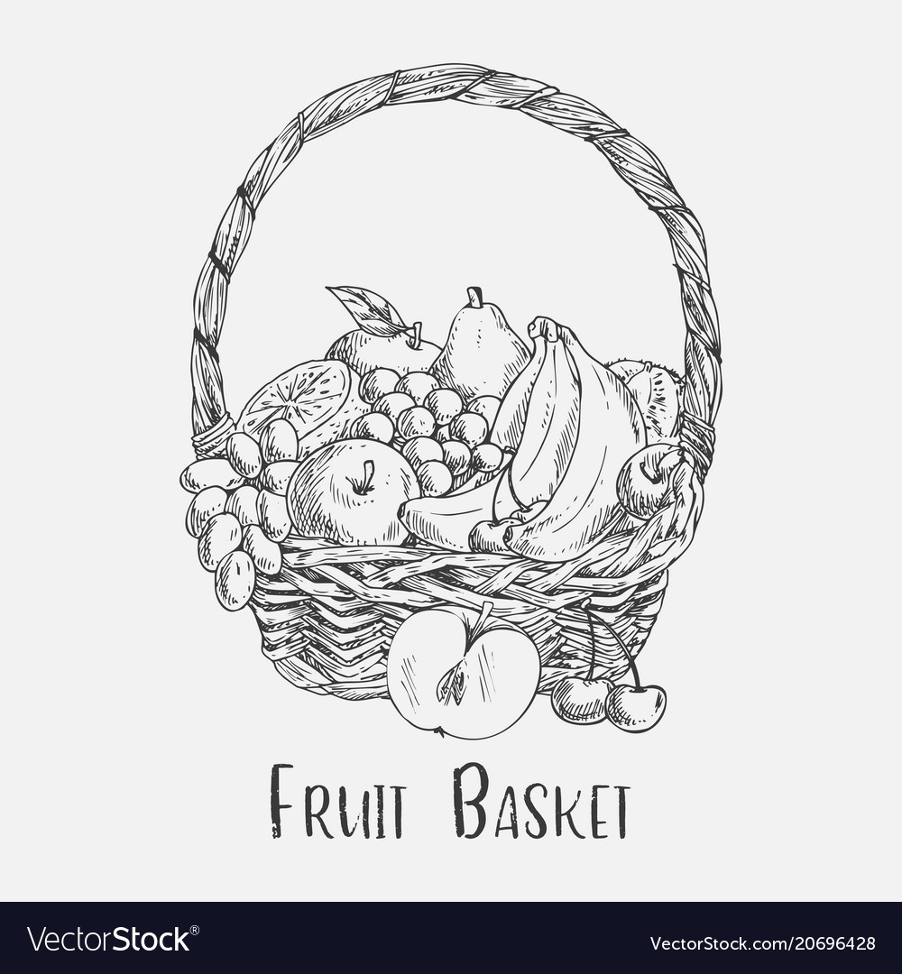 Food Basket Sketch Supermarket Shopping Basket With Organic Food Hand Drawn  Vector Illustration Stock Illustration  Download Image Now  iStock