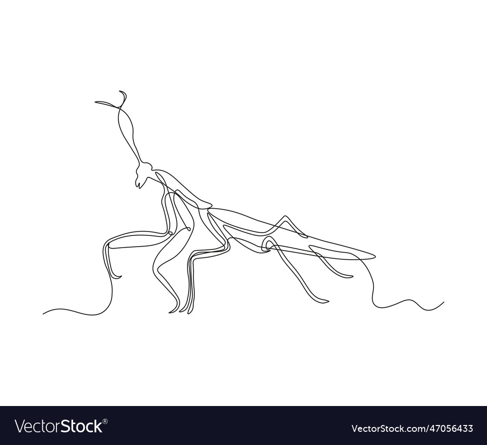 Abstract mantis continuous one line drawing