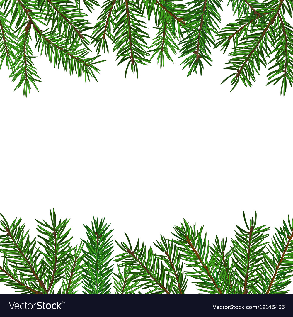 Realistic Green Fir Branch Background