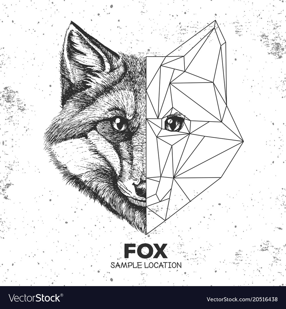 Hipster Animal Realistic And Polygonal Fox Face Vector Image