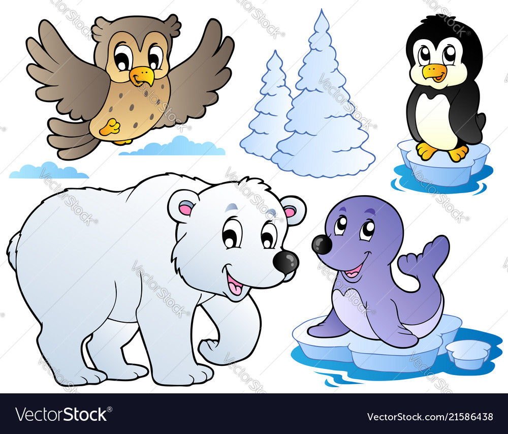 Winter Animals Illustration