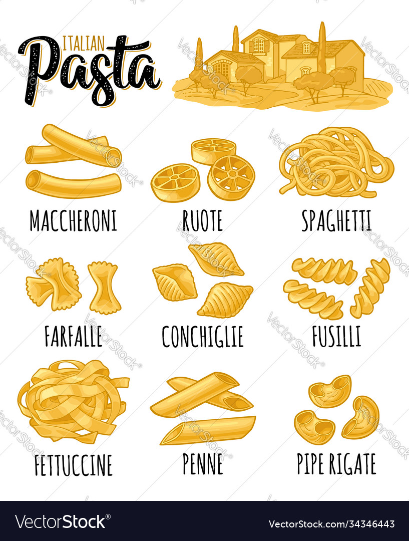 Different types macaroni and italian pasta Vector Image