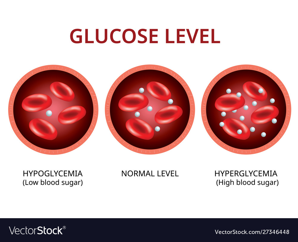 Glucose level in blood vessel normal Royalty Free Vector